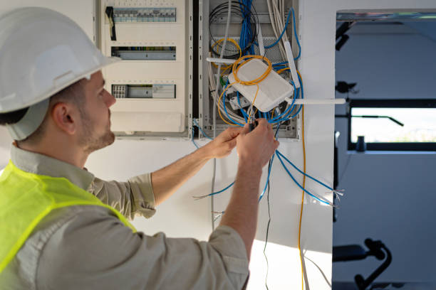Best Electric Panel Repair  in Lakewood, IL